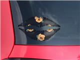 Lips Decal 9x5.5 Poppy Orange Navy